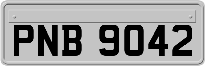 PNB9042