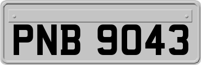 PNB9043