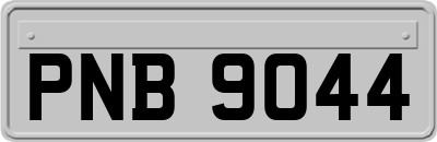 PNB9044