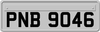 PNB9046