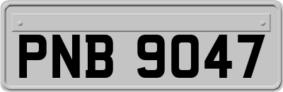 PNB9047