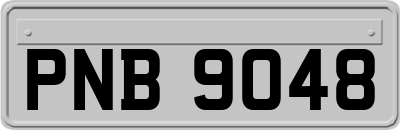 PNB9048