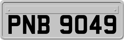 PNB9049