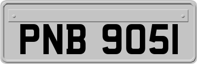 PNB9051