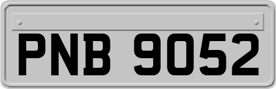 PNB9052