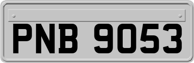 PNB9053