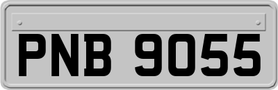 PNB9055