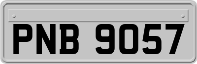 PNB9057