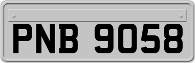 PNB9058