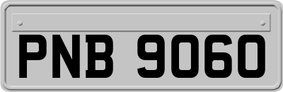 PNB9060
