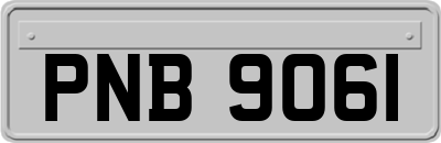PNB9061