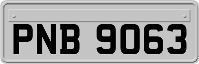 PNB9063