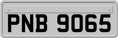 PNB9065