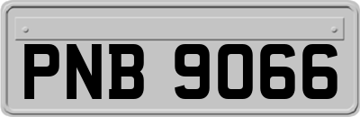 PNB9066