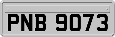 PNB9073
