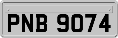 PNB9074