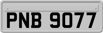 PNB9077
