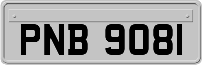 PNB9081