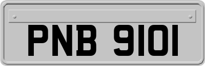 PNB9101