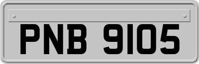 PNB9105