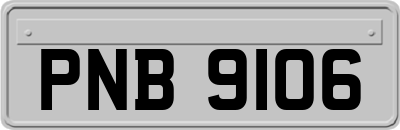 PNB9106