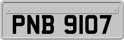 PNB9107