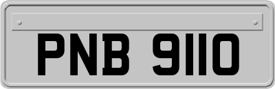PNB9110