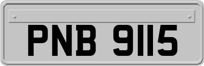 PNB9115