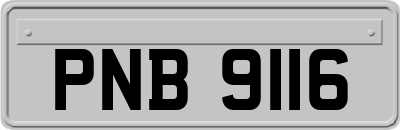 PNB9116