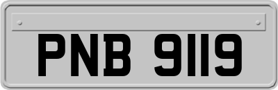PNB9119