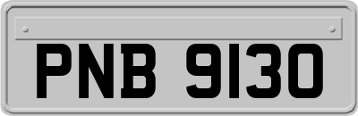 PNB9130