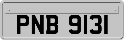 PNB9131