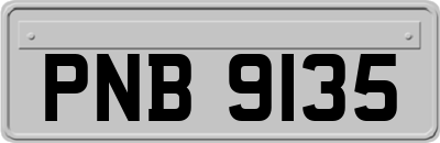 PNB9135