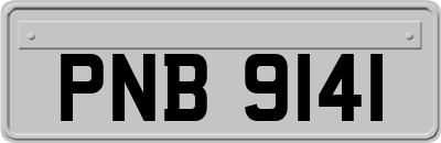 PNB9141
