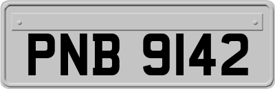 PNB9142