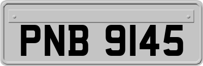PNB9145