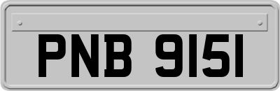 PNB9151