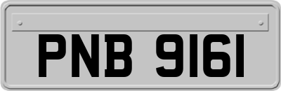 PNB9161
