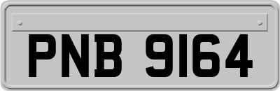 PNB9164