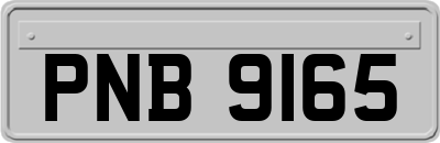 PNB9165