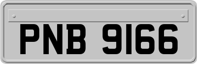 PNB9166