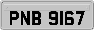 PNB9167