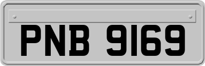 PNB9169