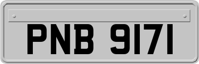 PNB9171