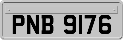 PNB9176