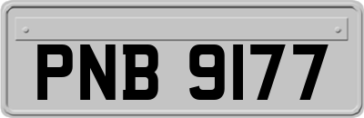 PNB9177