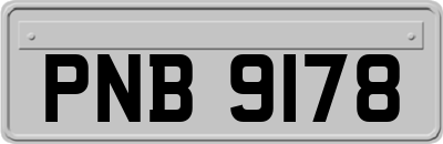 PNB9178