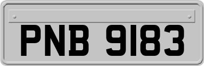 PNB9183