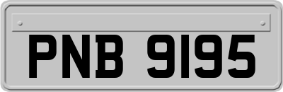PNB9195