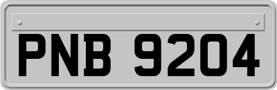 PNB9204